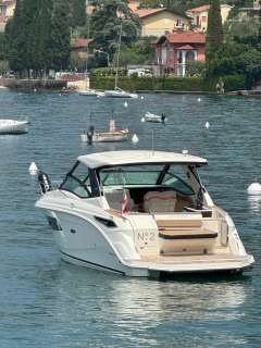 Sea Ray Sundancer 320