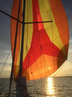 Dehler 34/ Optima 106