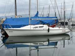 Archambault Surprise