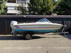 Hammermeister Starlet