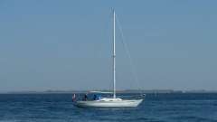 Wauquiez Centurion 32