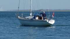 Wauquiez Centurion 32