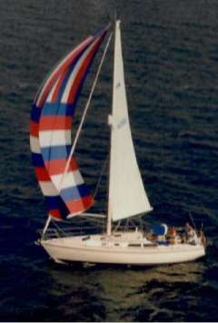 Catalina 36