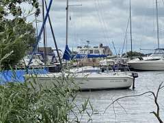 New Classic 700 (Grou)