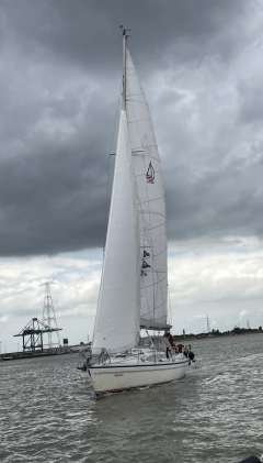 Dehler 36 CWS