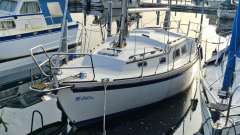 Fellowship 28