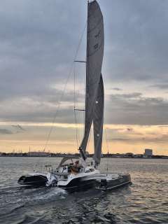 Dragonfly DF 28 Performance