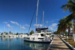2020 Leopard 40 catamaran docked at a marina with palm trees and clear blue sky.