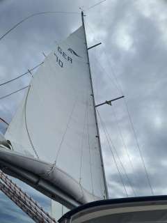 Hanse 341