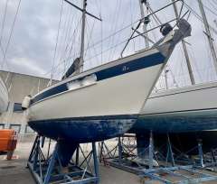 Hallberg-Rassy 36
