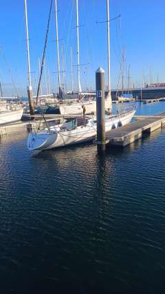 Helmsmann Lady Helmsman