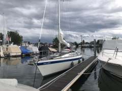 Gilbert Marine Gib Sea 31