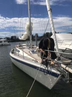 Gilbert Marine Gib Sea 31