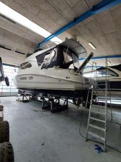 Sealine 42/5