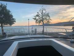 Delphia Platinum 989 Hardtop