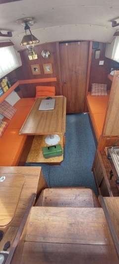 Great Dane 28