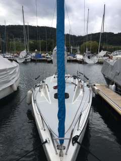 Protagonist One Design 7.50