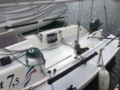 Protagonist One Design 7.50