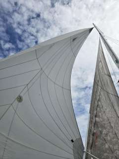 F18 Capricorn AHPC Goodall Cat