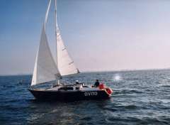 Van de Stadt Vita