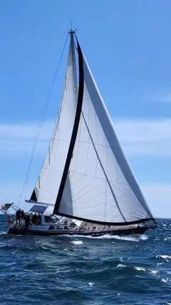 ABA Reinke 16M – Aluminio – Bluewater Cruise