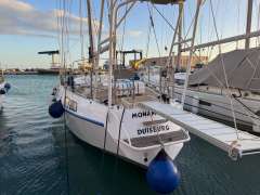 Reinke Hydra 48