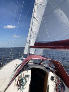 Delphia 28 Sport