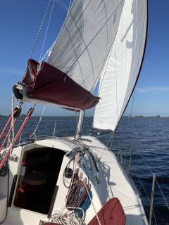 Delphia 28 Sport