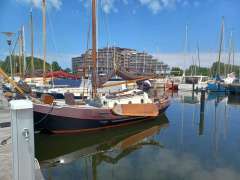 Bekebrede Liamer Zeeschouw 0