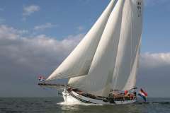 Lemsteraak Roefmodel - IJsvogel 2