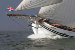 Lemsteraak Roefmodel - IJsvogel 4