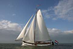 Lemsteraak Roefmodel - IJsvogel 1