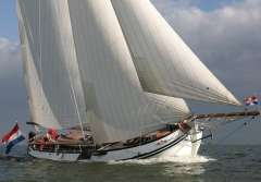 Lemsteraak Roefmodel - IJsvogel 0