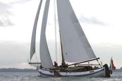 Lemsteraak Roefmodel - IJsvogel 3