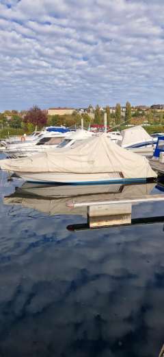 Sealine Confi 28 Family