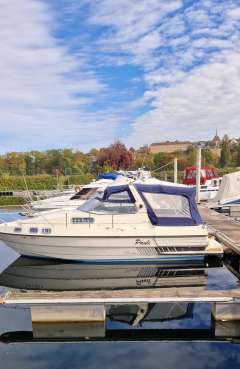 Sealine Confi 28 Family