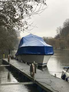 Trojan 36 Fly