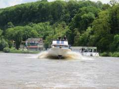 Trojan 36 Fly