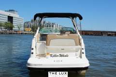Bayliner Ciera 8