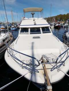 Princess 38 Fly