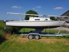 SHARK 24
