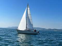 Ocean 22 Ossendrecht Holland