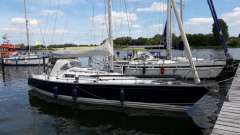 Luffe 40