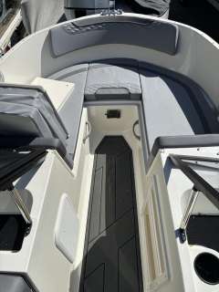 Bayliner M17 Element