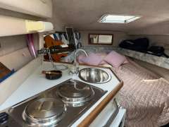 Sea Ray 230