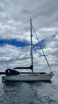 Bavaria 42