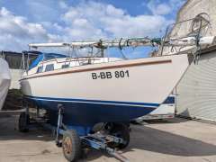 Fellowship 28