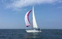 Finngulf 31