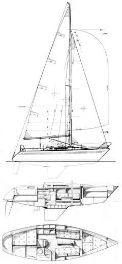 Finngulf 31