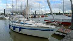 Finngulf 31